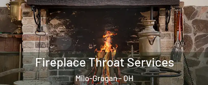 Fireplace Throat Services Milo-Grogan - OH