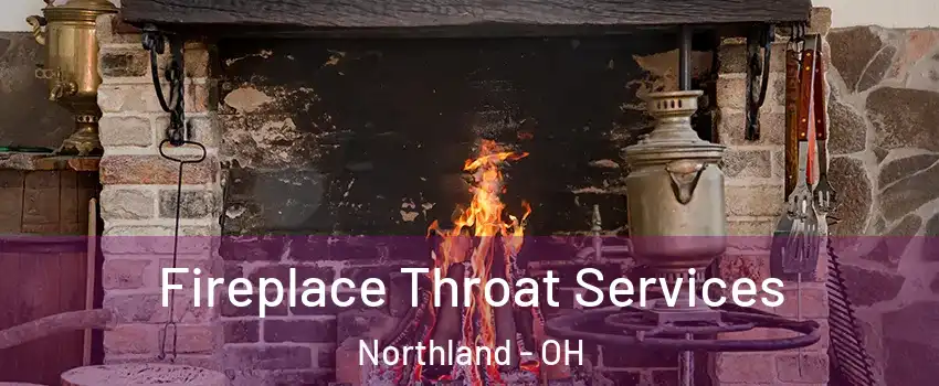 Fireplace Throat Services Northland - OH