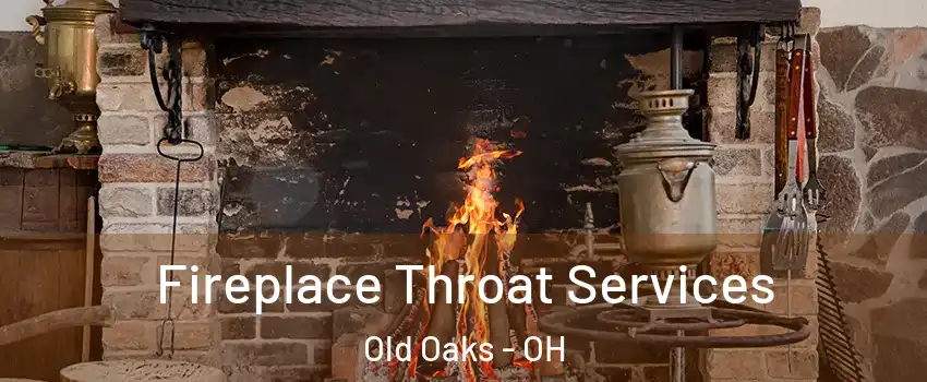 Fireplace Throat Services Old Oaks - OH