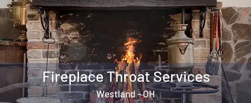 Fireplace Throat Services Westland - OH