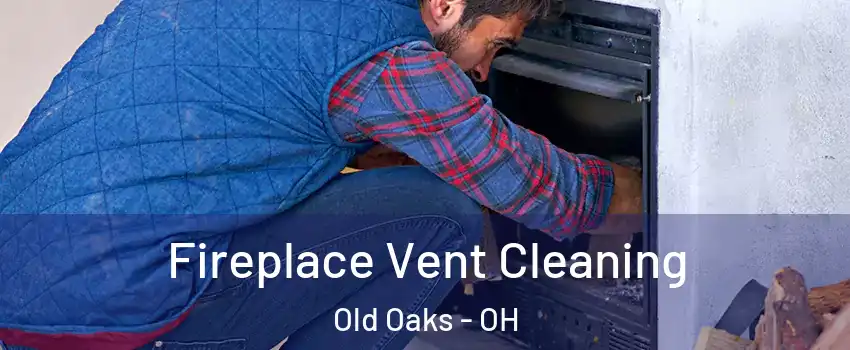 Fireplace Vent Cleaning Old Oaks - OH