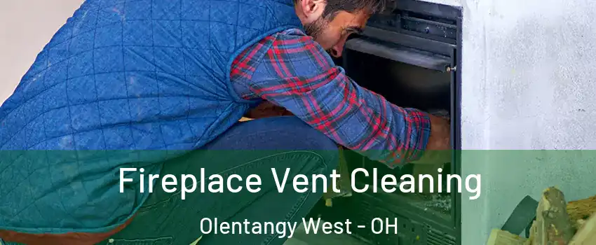 Fireplace Vent Cleaning Olentangy West - OH