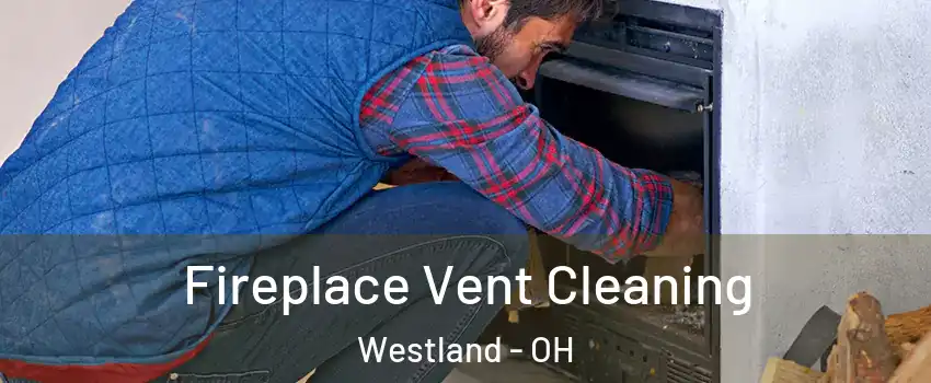 Fireplace Vent Cleaning Westland - OH