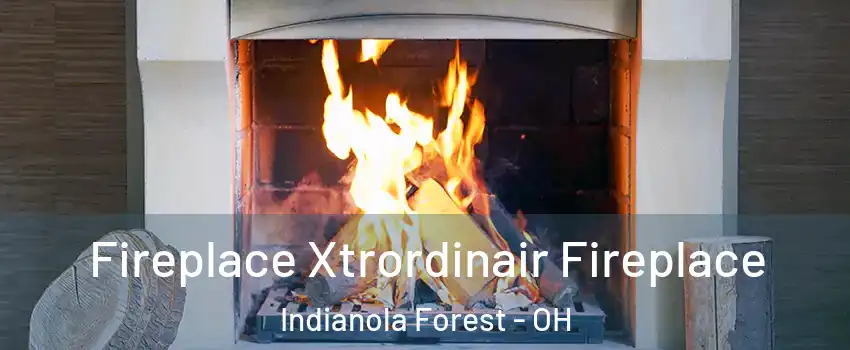 Fireplace Xtrordinair Fireplace Indianola Forest - OH