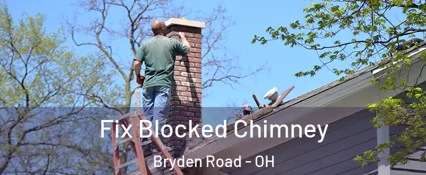 Fix Blocked Chimney Bryden Road - OH