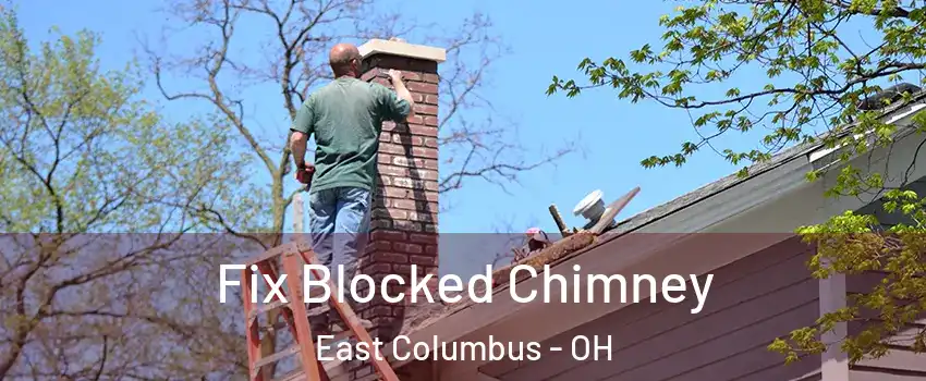 Fix Blocked Chimney East Columbus - OH