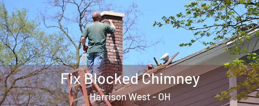 Fix Blocked Chimney Harrison West - OH