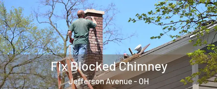 Fix Blocked Chimney Jefferson Avenue - OH