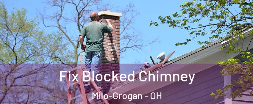 Fix Blocked Chimney Milo-Grogan - OH