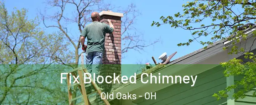 Fix Blocked Chimney Old Oaks - OH