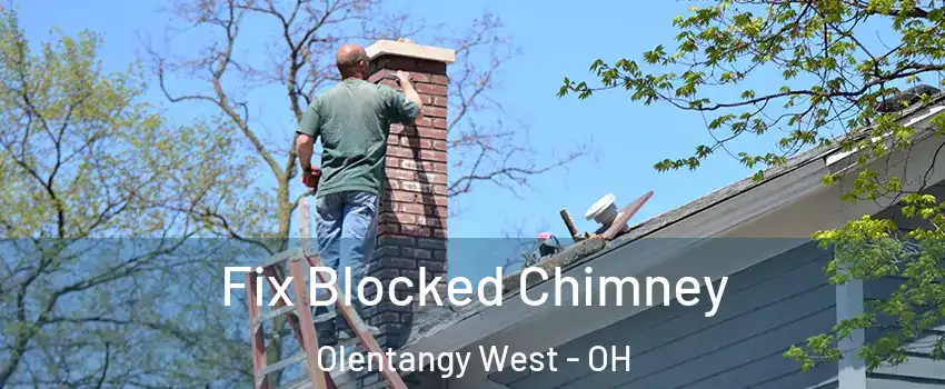 Fix Blocked Chimney Olentangy West - OH