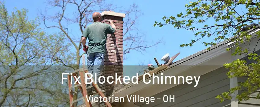 Fix Blocked Chimney Victorian Village - OH