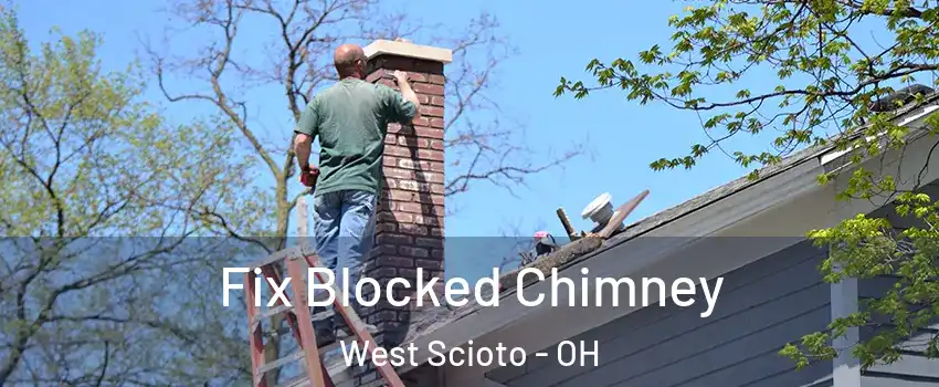 Fix Blocked Chimney West Scioto - OH