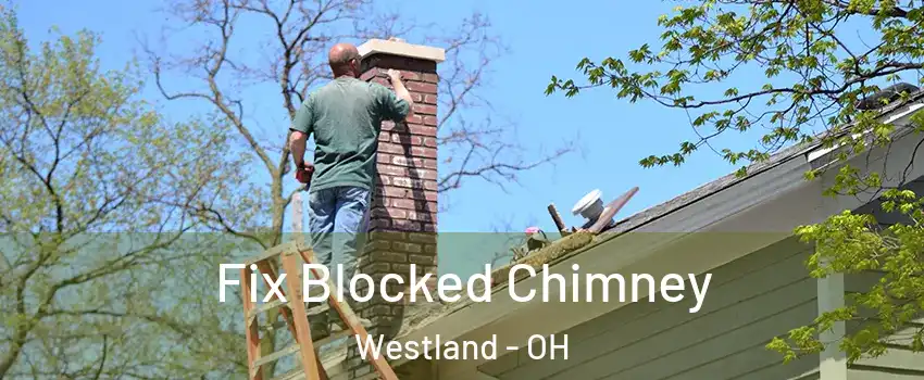 Fix Blocked Chimney Westland - OH