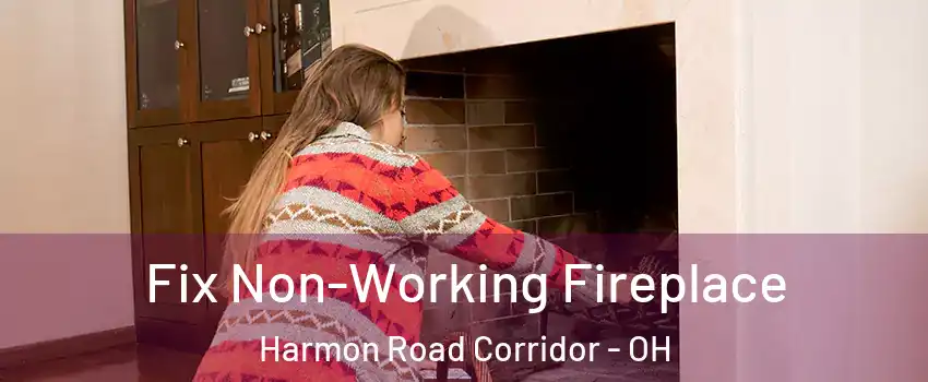 Fix Non-Working Fireplace Harmon Road Corridor - OH