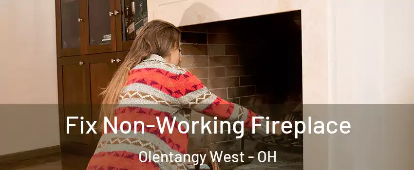 Fix Non-Working Fireplace Olentangy West - OH