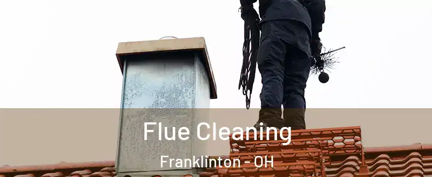 Flue Cleaning Franklinton - OH