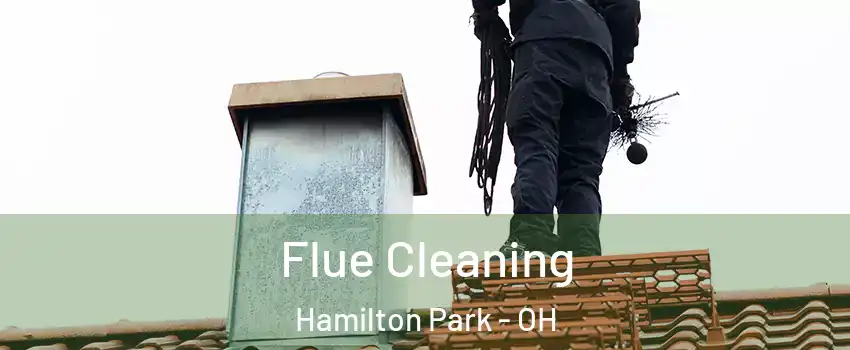 Flue Cleaning Hamilton Park - OH