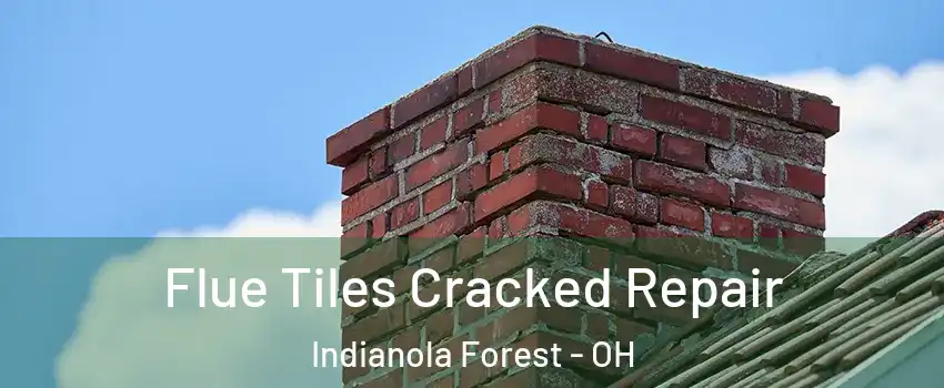 Flue Tiles Cracked Repair Indianola Forest - OH