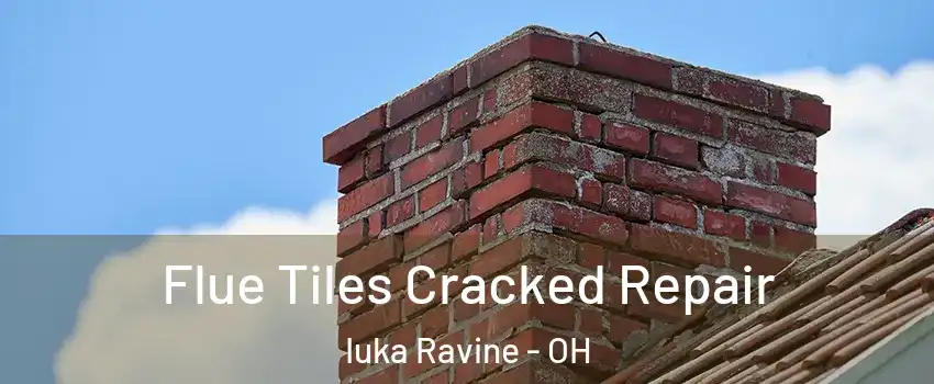 Flue Tiles Cracked Repair Iuka Ravine - OH