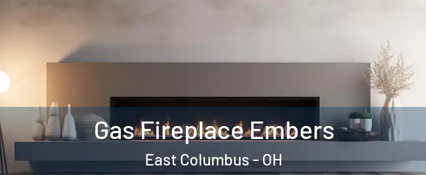 Gas Fireplace Embers East Columbus - OH