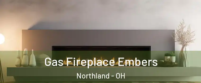 Gas Fireplace Embers Northland - OH