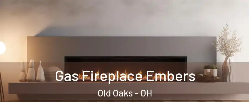 Gas Fireplace Embers Old Oaks - OH