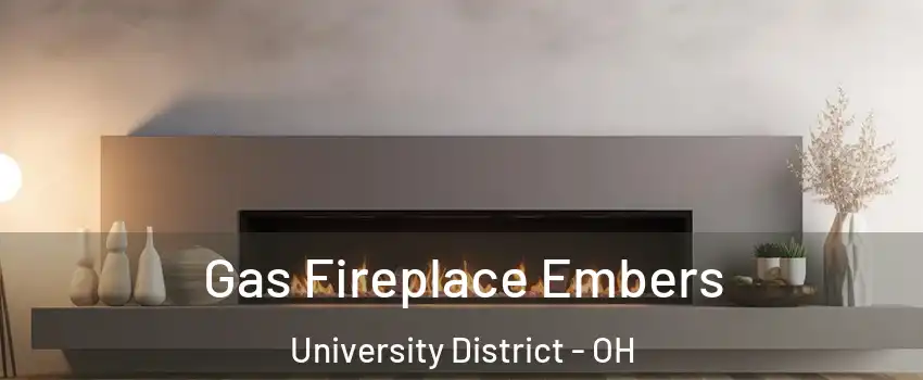 Gas Fireplace Embers University District - OH