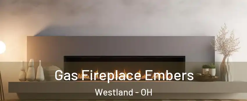 Gas Fireplace Embers Westland - OH