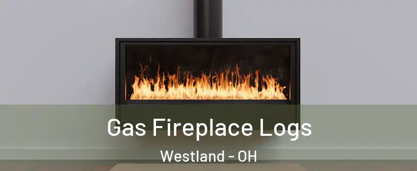 Gas Fireplace Logs Westland - OH