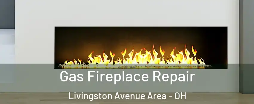 Gas Fireplace Repair Livingston Avenue Area - OH