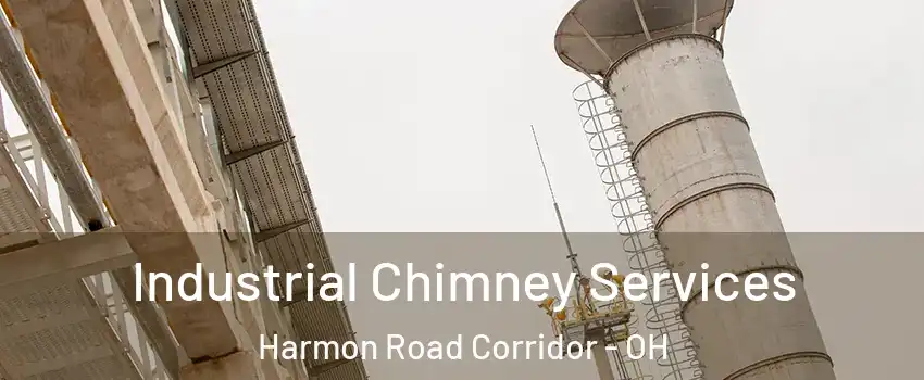 Industrial Chimney Services Harmon Road Corridor - OH