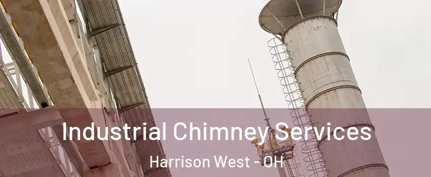 Industrial Chimney Services Harrison West - OH