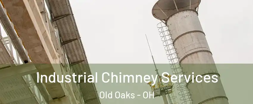 Industrial Chimney Services Old Oaks - OH