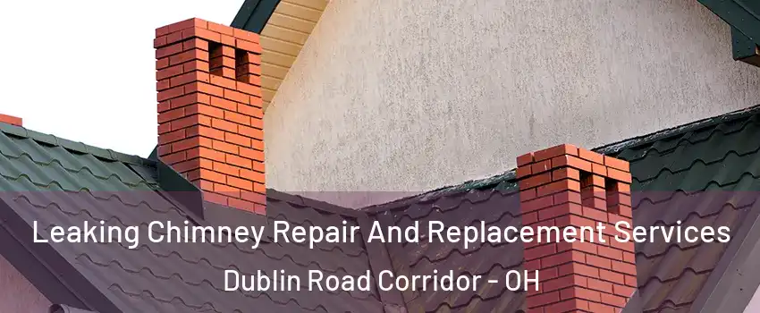 Leaking Chimney Repair And Replacement Services Dublin Road Corridor - OH