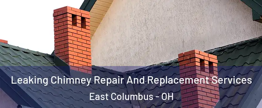 Leaking Chimney Repair And Replacement Services East Columbus - OH