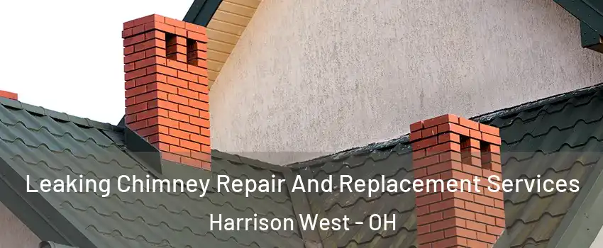 Leaking Chimney Repair And Replacement Services Harrison West - OH