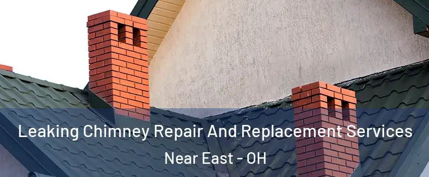 Leaking Chimney Repair And Replacement Services Near East - OH