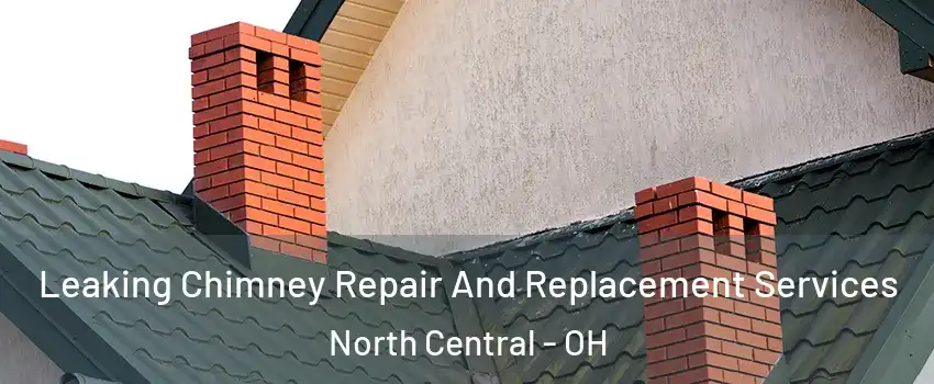 Leaking Chimney Repair And Replacement Services North Central - OH