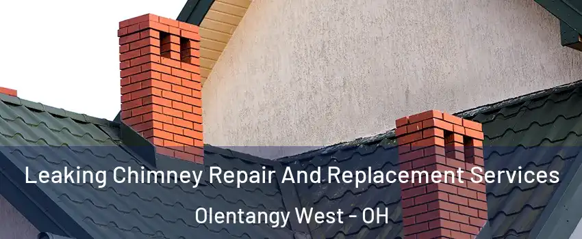 Leaking Chimney Repair And Replacement Services Olentangy West - OH