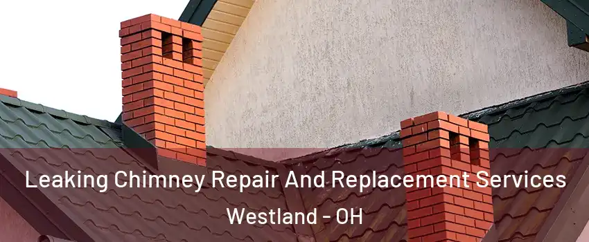 Leaking Chimney Repair And Replacement Services Westland - OH