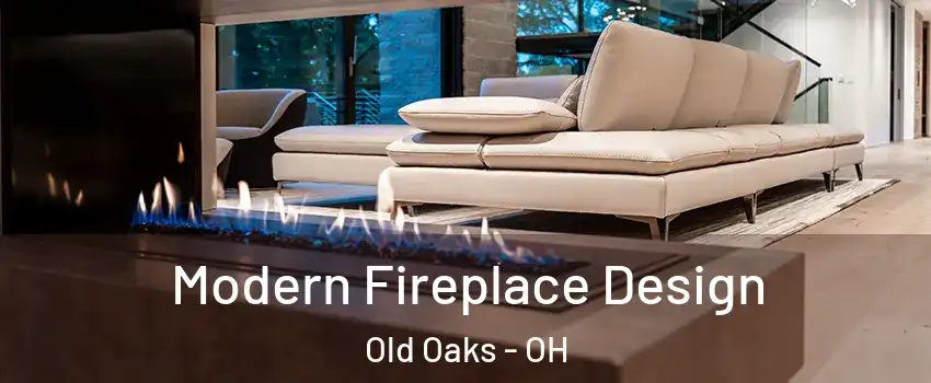 Modern Fireplace Design Old Oaks - OH