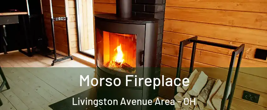 Morso Fireplace Livingston Avenue Area - OH