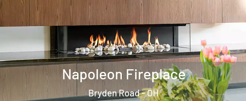 Napoleon Fireplace Bryden Road - OH