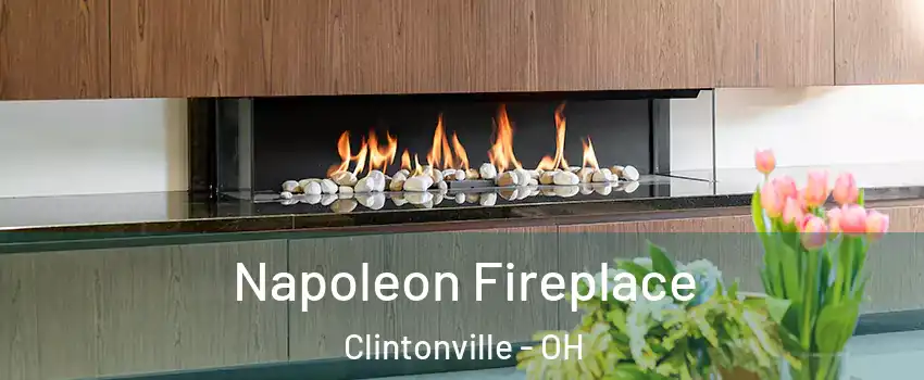 Napoleon Fireplace Clintonville - OH