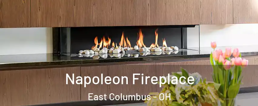 Napoleon Fireplace East Columbus - OH