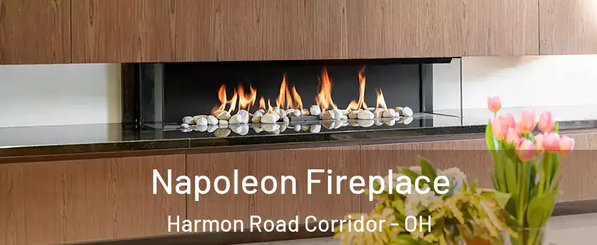 Napoleon Fireplace Harmon Road Corridor - OH