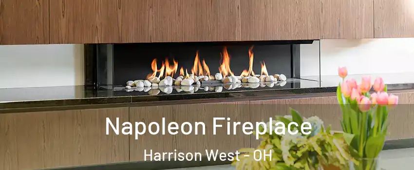 Napoleon Fireplace Harrison West - OH