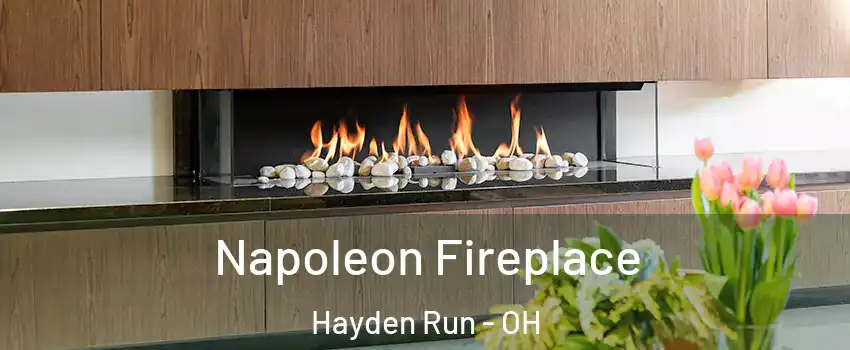 Napoleon Fireplace Hayden Run - OH