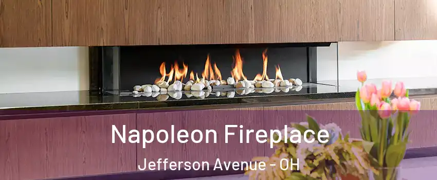 Napoleon Fireplace Jefferson Avenue - OH